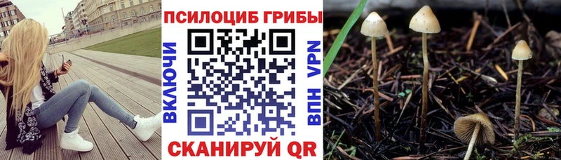 сколько стоит  МЕГА сайт  Галлюциногенные грибы Psilocybine cubensis  Гулькевичи 